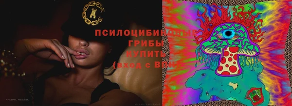 молекула духа Алексеевка