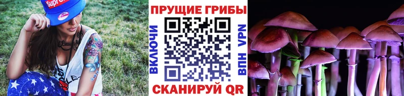 Псилоцибиновые грибы Magic Shrooms  Черноголовка 